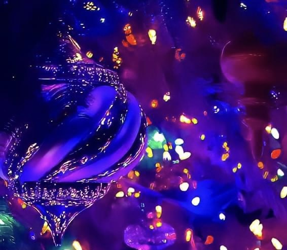 Happy Holidays from&nbsp;Proverse!